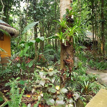 Korrigan Lodge Кауита Экстерьер фото